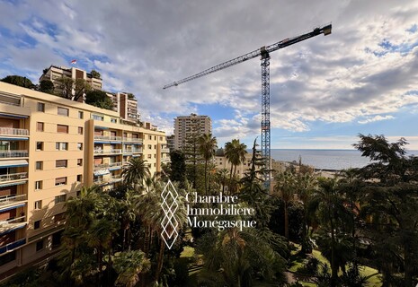 APPARTEMENT 4 PIECES - CARRE D'OR