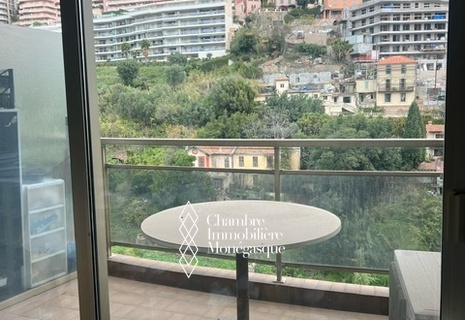 STUDIO MEUBLE ET CLIMATISE USAGE MIXTE