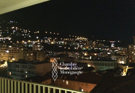 Four-room apartment in excellent condition and elegantly furnished, with sea view