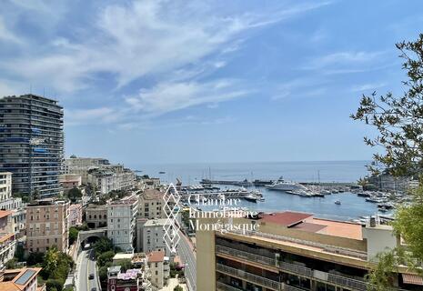 Magnique Triplex Penthouse avec vue sur le port Hercule