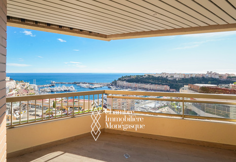 PROCHE DU PORT - 3 PIÈCES RÉNOVÉ VUE MER