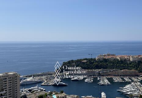 2 PIÈCES RÉNOVÉ MONTE CARLO VUE MER ET PARKING - LE MILLEFIORI -