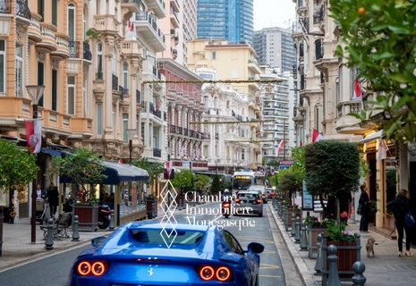 Mur Local Commercial – Boulevard des Moulins