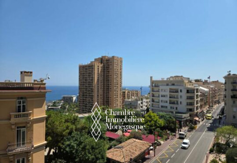 LE CONTINENTAL: Spacious 3-Bedroom Apartment with Terrace and Open Views at the Continental for rent