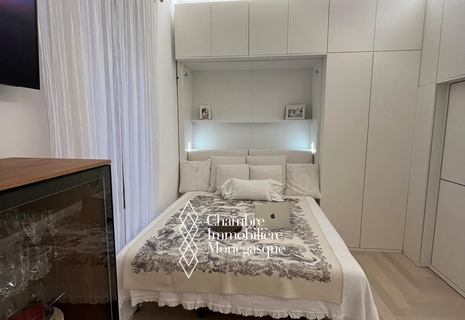 Studio entièrement équipé et rénové (sous loi 1291) - Condamine