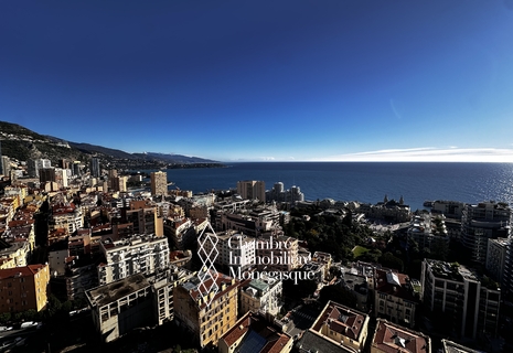 STUDIO IN THE CENTRE OF MONTE CARLO