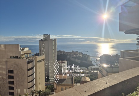 PAAZZO PATIO - 2/3 Stanze con vista sul mare - cantina e parcheggio