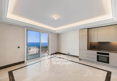 Studio exclusif à location Monaco Moneghetti Nouvelle Résidence
