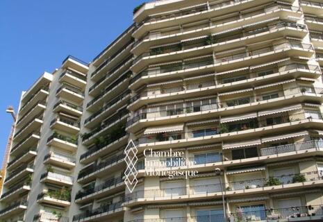 STUDIO AGREABLE AU CONTINENTAL -  PLACE DES MOULINS