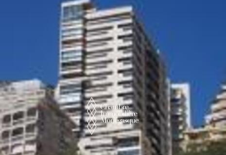 GRAND PARKING MONTE CARLO VIEW