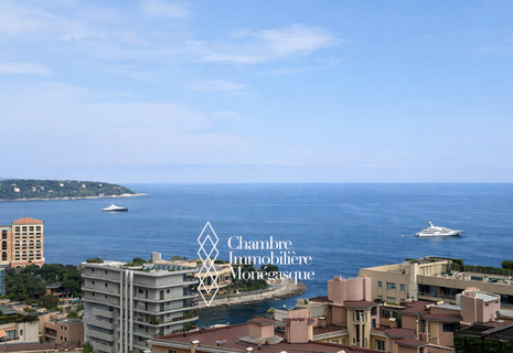 Penthouse d’Exception en Triplex – Villa Annonciade