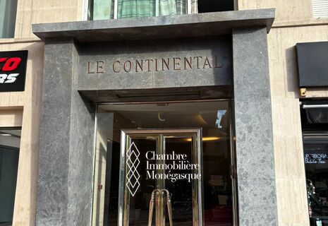 IDEAL PIED A TERRE - PLACE DES MOULINS