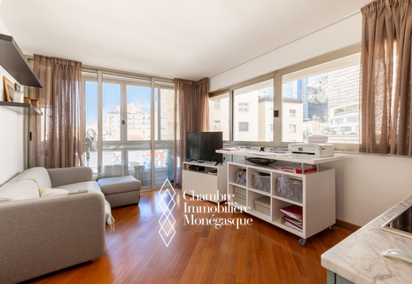 LUMINEUX DEUX PIÈCES AVEC PARKING - CHÂTEAU AMIRAL