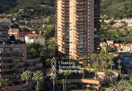 SPACIEUX 5 PIECES - PARC SAINT ROMAN - VUE MER