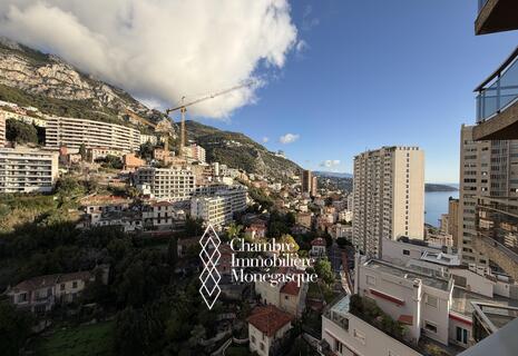 Beau studio entièrement rénové à l'image d'une chambre d hotel, en étage élevé