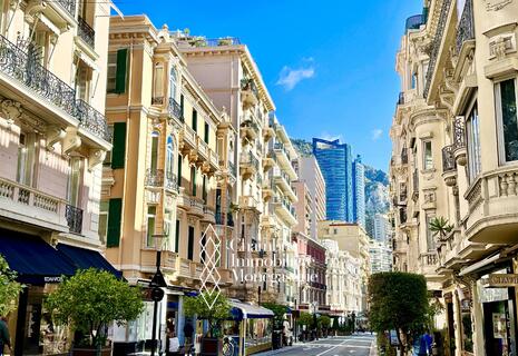 Ampio monolocale centrale | Bd des Moulins