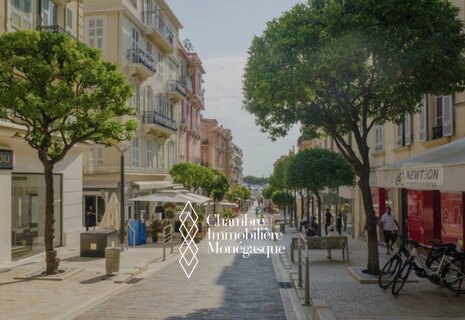 À vendre : Murs commerciaux occupés – Emplacement exceptionnel à