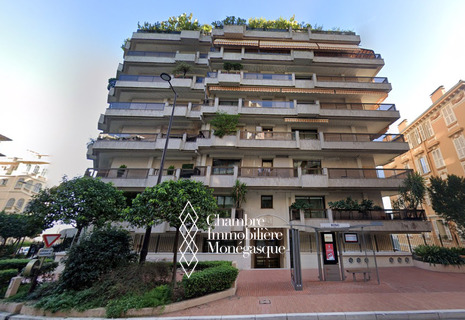 IDEAL PIED-A-TERRE - ENTIEREMENT MEUBLE - AVEC JARDIN