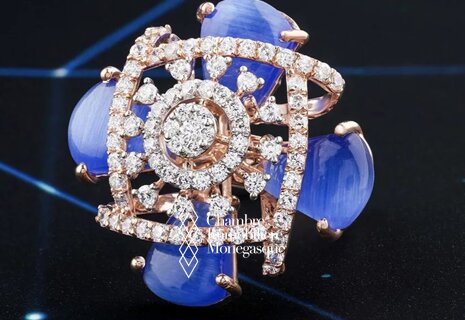 Cession – Maison de gemmologie de référence en Principauté de Mo