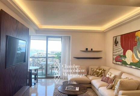 Agente unico – Mirabeau – appartamento 2 stanze arredato