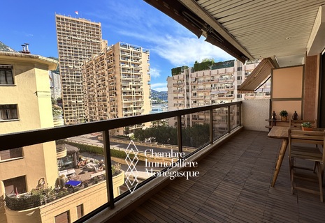 MONACO CARRÉ D'OR 2 PIECES RENOVE MEUBLE MIXTE CAVE PARKING