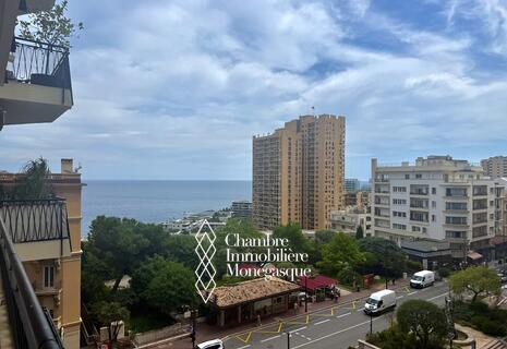 Grand 3 pièces au Continental