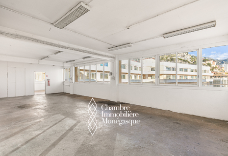 Rental - Exclusive listing – Industrial premises – Fontvieille