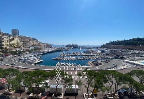 PENTHOUSE SUR LE DEPART DU GRAND PRIX