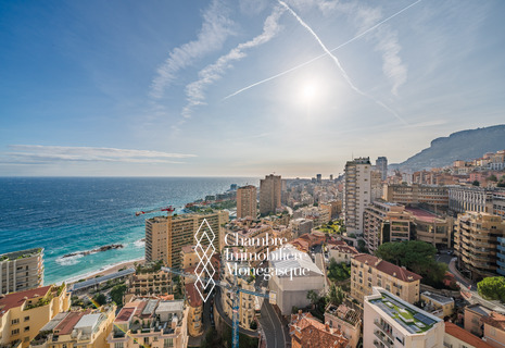 Magnifique 4 pièces à la location