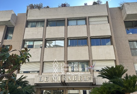 LE MIRABEL - CARRE D’OR - GRAND STUDIO AVEC JARDIN