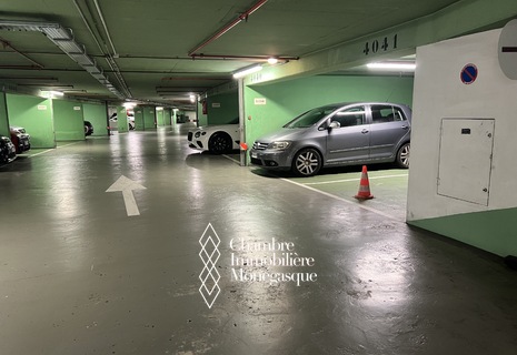 PARC SAINT-ROMAN - EMPLACEMENT DE PARKING