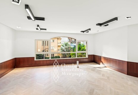 Villa del Sole: Completely Renovated Offices