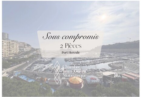 Emplacement Privilégié au Cœur de Monaco – Face au Grand Prix