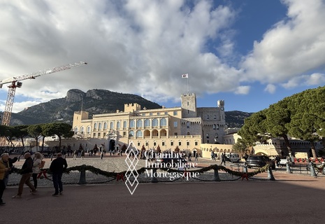 Charmant studio rénové à Monaco Ville