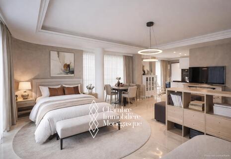 Studios au coeur de la Condamine