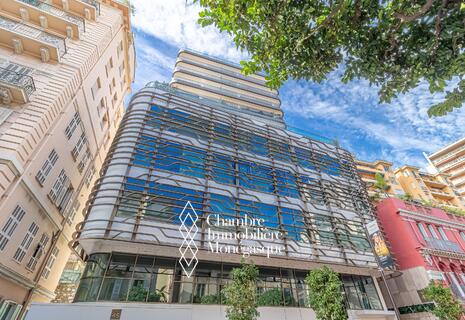 Vaste et luxueux studio au coeur de la Condamine