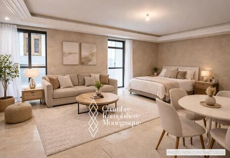 Plusieurs studios au coeur de la Condamine