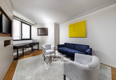 Elegant 2 pièce au coeur de Monaco - Saint Andre