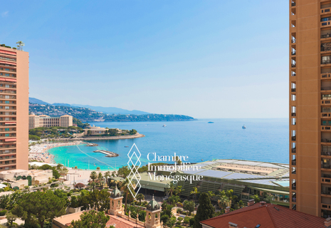 SOMPTUEUX APPARTEMENT ENTIÈREMENT RÉNOVÉ