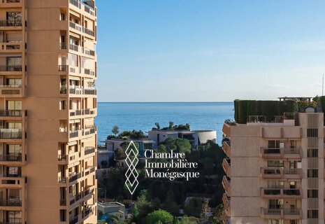 TRES BEAU 3 PIECES PLEIN CENTRE