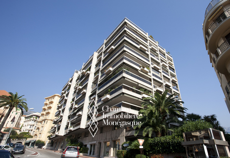 EXCLUSIVITÉ - STUDIO - LES OLIVIERS