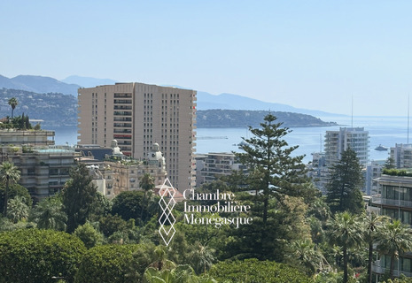 Appartement meublé de 2 chambres à louer | Park Palace, Monaco Carré d’Or