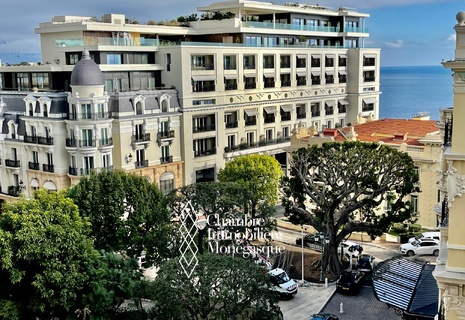 CARREÉ D'OR | PALAIS DE LA SCALA | BILOCALE