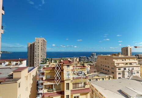 MONTE-CARLO | VILLA TALMA |  BELLISSIMO APPARTAMENTO DI 3 LOCALI