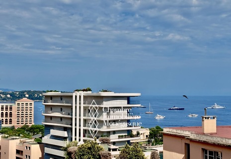 LAROUSSE |  LA RADIEUSE | 2 STANZE