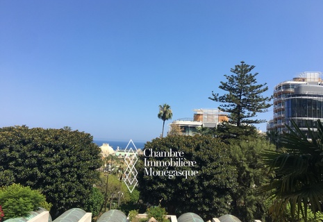 Park Palace-Appartement rénové & meublé - face Casino