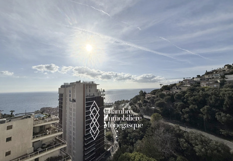 A louer, deux-pièces rénové avec terrasse vue mer