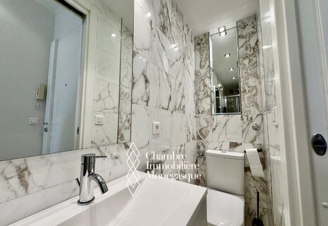 2 PIECES LOFT La Condamine