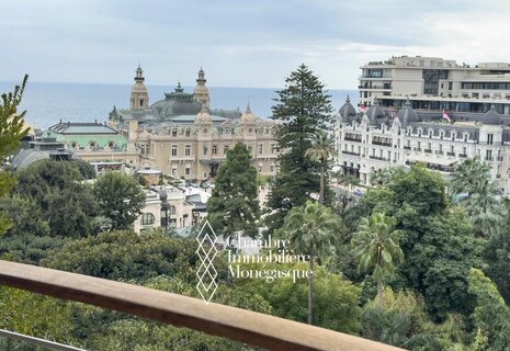 La Petite Afrique - Unique and Rare