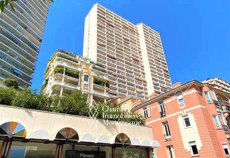 Monolocale luminoso in residenza con portineria